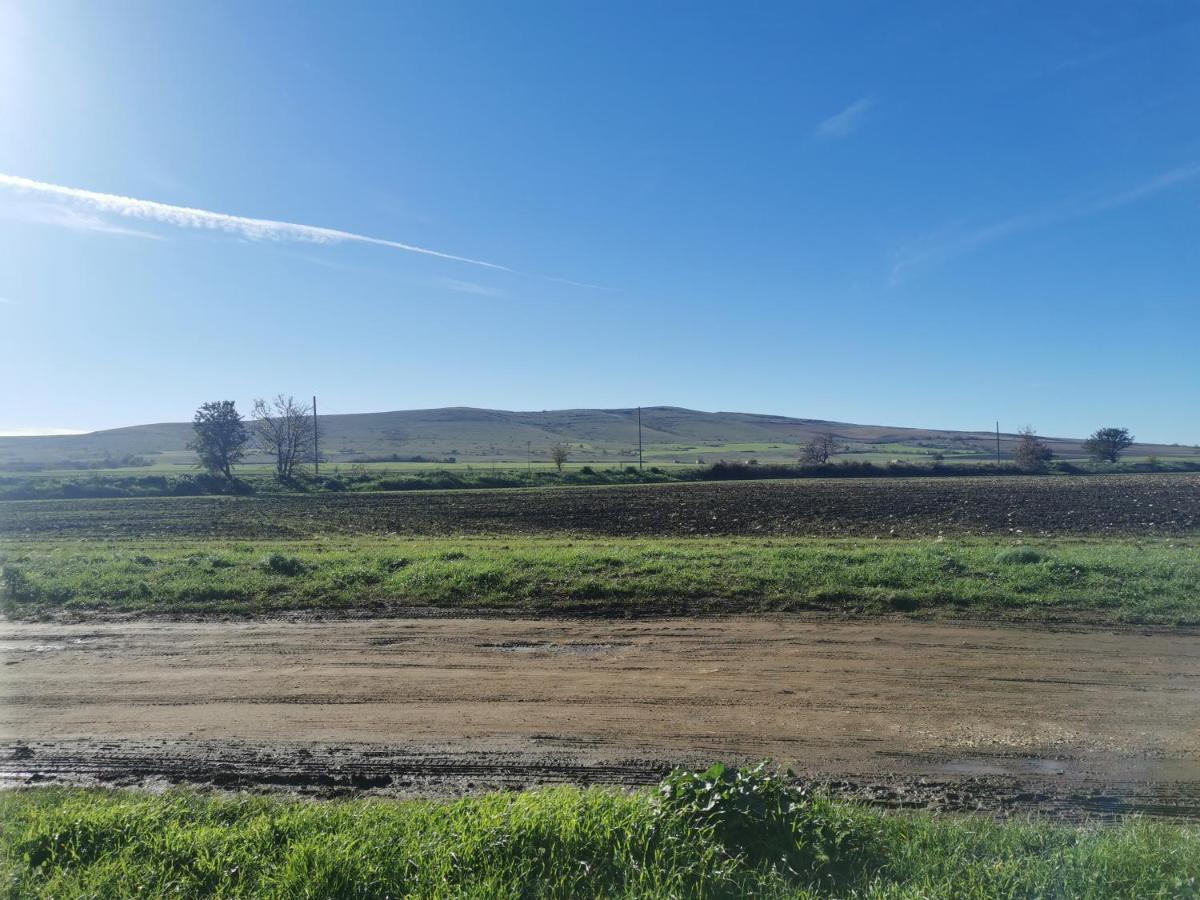 Masseria Tarantini Кастел дел Монте Екстериор снимка